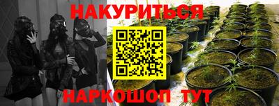 ПСИЛОЦИБИНОВЫЕ ГРИБЫ Шебекино