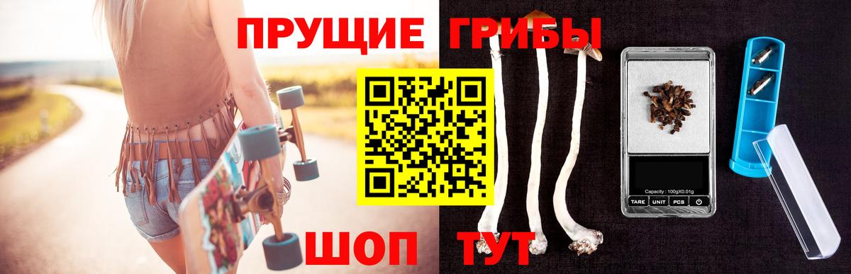 Ахтубинск  Галлюциногенные грибы прущие грибы  Вход с VPN 